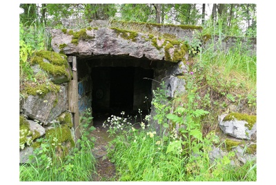 Paukkulanpuistossa sijaitseva kellari. Lapsia kellarin oviaukolla. Puiston alueella on sijainnut puolustusvoimien rakentama Malmin ampumarata, joka valmistui vuonna 1937 Helsingissä järjestettyihin ammunnan MM-kisoihin, ja suljettiin vuonna 1993. Puistossa on maisemallisesti arvokasta puustoa, jota tulee hoitaa elinvoimaisena, ja uudistaa siten että sen maisemallinen arvo säilyy. rephoto