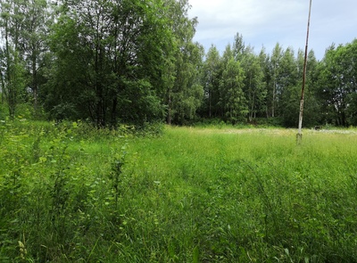 Mellunkylä, Kivikko.  Malmin ampumaradan paviljonki, Paukkula. rephoto