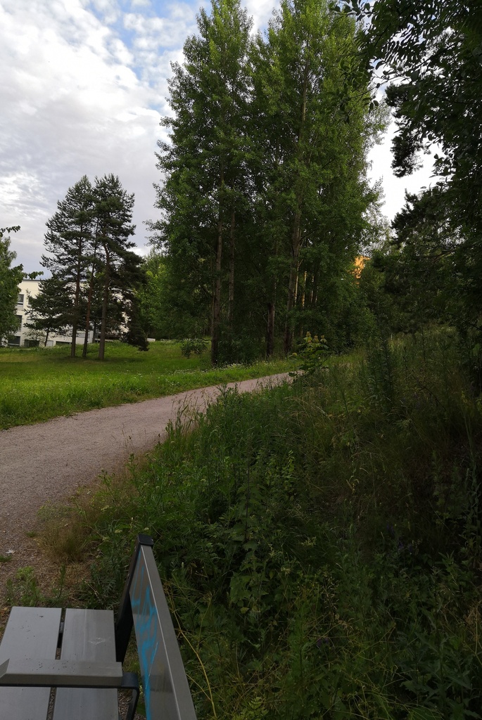 Paukkulanpuistossa sijaitsevat rakenteet, kauempana näkyy Kivikon asuinaluetta. Puiston alueella on sijainnut puolustusvoimien rakentama Malmin ampumarata, joka valmistui vuonna 1937 Helsingissä järjestettyihin ammunnan MM-kisoihin, ja suljettiin vuonna 1993. rephoto