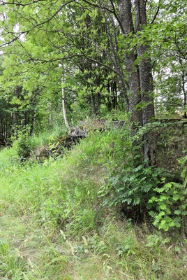 Paukkulanpuistossa sijaitseva kellari. Puiston alueella on sijainnut puolustusvoimien rakentama Malmin ampumarata, joka valmistui vuonna 1937 Helsingissä järjestettyihin ammunnan MM-kisoihin, ja suljettiin vuonna 1993. rephoto