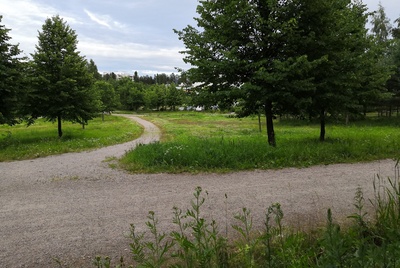 Paukkulanpuisto,, kauempana näkyy Kivikon asuinaluetta. Puiston alueella on sijainnut puolustusvoimien rakentama Malmin ampumarata, joka valmistui vuonna 1937 Helsingissä järjestettyihin ammunnan MM-kisoihin, ja suljettiin vuonna 1993. rephoto