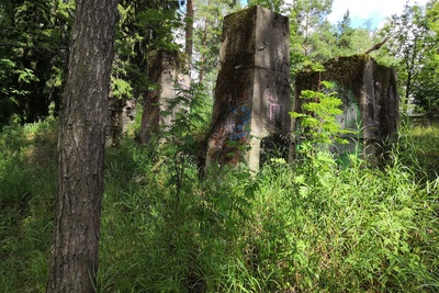 Myllypuro. Ensimmäisen maailmansodan aikainen maalinnoitus, tykkipatteri 65 Myllypurossa. Kuvassa näkyy kaikki viisi pohjoisimman suojahuoneen betonisesta savupiippua tai hormia. Kuvan ensimmäinen hormi on yläosasta vaurioitunut, kaksi seuraava ovat ehyitä, neljännestä on jäljellä vain kulma ja viides on ehyt. Hormeihin on maalattu graffiteja, joista kuvassa näkyy selkeästi kolme. Ensimmäiseen hormiin on maalattu vihreävalkoinen iglu ja kahteen seuraavaan tyyliteltyä punaista tekstiä. Rikkoutuneessa neljännessä hormissa voidaan erottaa alkuperäisten tukien painaumat. Hormit sijaitsevat alaspäin vietävän kumpareen päällä. Kuvaussuuntana pohjoinen. rephoto