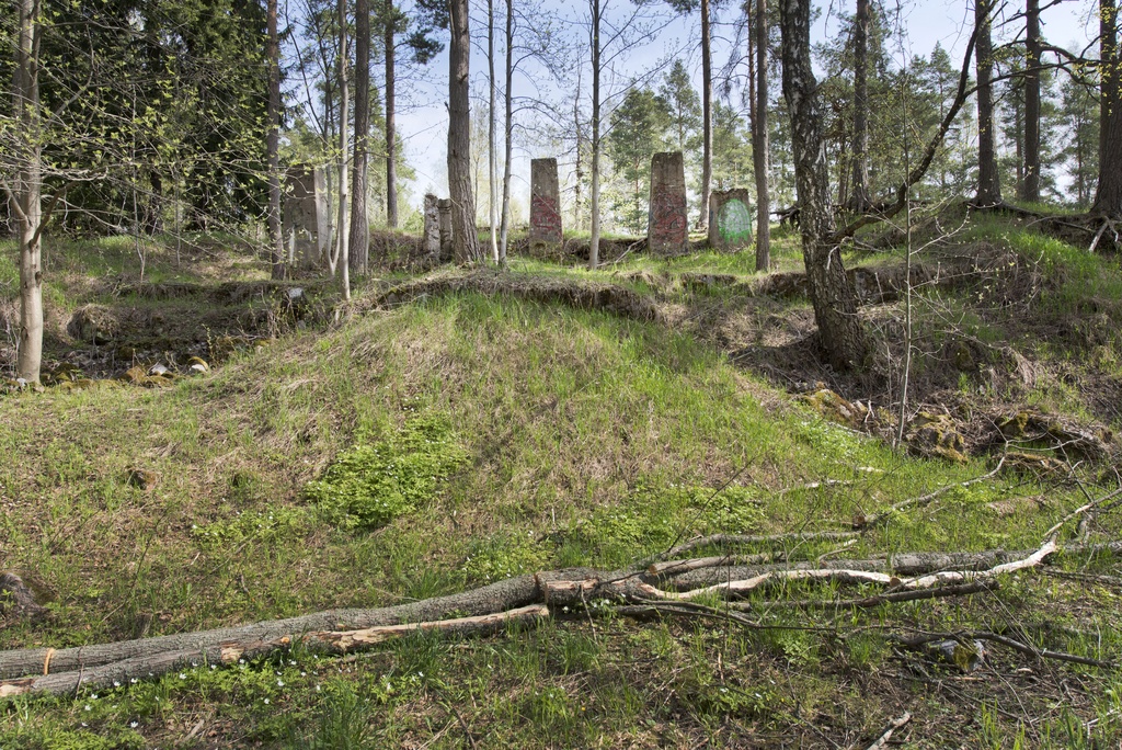 Myllypuro. Ensimmäisen maailmansodan aikainen maalinnoitus, tykkipatteri 65 Myllypurossa. Kuvassa näkyy viisi betonista hormia tai savupiippua, jotka sijaitsevat pohjoisimman suojahuoneen takaseinällä. Hormit sijaitsevat alaspäin viettävän kumpareen päällä. Hormeista kolme on säilynyt ehjänä ja kaksi on kärsinyt vahinkoa. Kaikkiin rakenteisiin on maalattu graffiteja, joista näkyvin on oikeanpuolimmaisimman hormin sivustaan tehty vihreävalkoinen, iglua esittävä kuva. Kumpareen vasemmalla puolella näkyy kivikkoa, josta osa on mahdollisesti jäännöksiä suojahuoneiden rakenteista. Kuvaussuuntana koillinen.