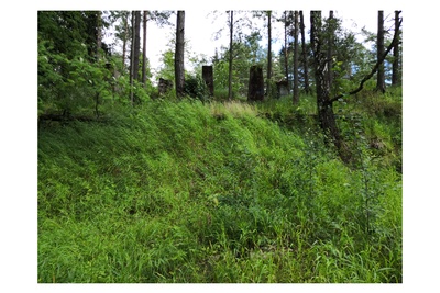 Myllypuro. Ensimmäisen maailmansodan aikainen maalinnoitus, tykkipatteri 65 Myllypurossa. Kuvassa näkyy viisi betonista hormia tai savupiippua, jotka sijaitsevat pohjoisimman suojahuoneen takaseinällä. Hormit sijaitsevat alaspäin viettävän kumpareen päällä. Hormeista kolme on säilynyt ehjänä ja kaksi on kärsinyt vahinkoa. Kaikkiin rakenteisiin on maalattu graffiteja, joista näkyvin on oikeanpuolimmaisimman hormin sivustaan tehty vihreävalkoinen, iglua esittävä kuva. Kumpareen vasemmalla puolella näkyy kivikkoa, josta osa on mahdollisesti jäännöksiä suojahuoneiden rakenteista. Kuvaussuuntana koillinen. rephoto