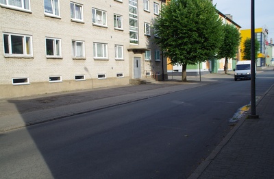 Ralvere rajooni laulupeo rongkäik rephoto