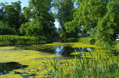Rakvere Rahvamaja park rephoto