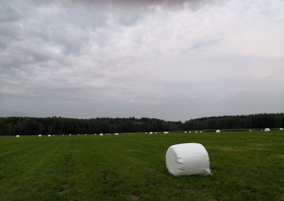 6.Rask.It.Ptri, Viikin field: General photos of connections. rephoto