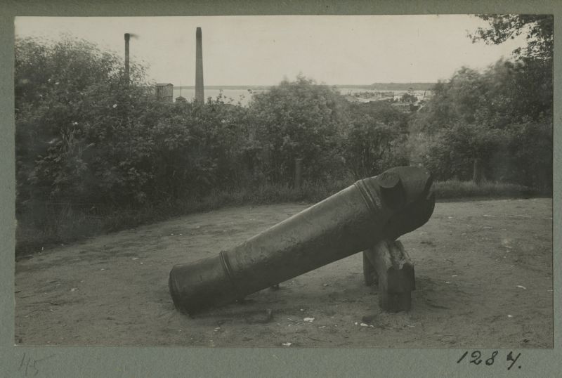 View of Tallinn. The shape of the cannon.