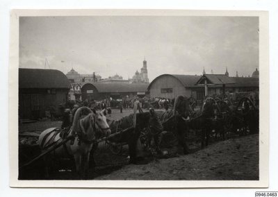 Torg, photographer, photographer - Anteckning baksida photo: "No. 10 - 1924. Moscow Torg" - 0946.0463 - Den nya svenska Kamtjatka-expeditionen (1924-1927)  duplicate photo