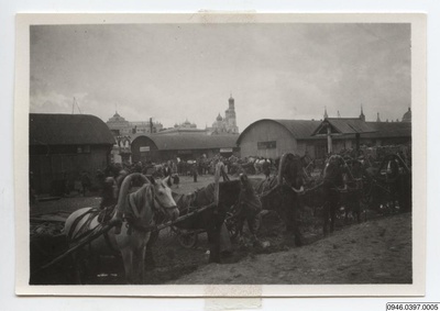 Häst, vagn, photographer, photographer - (Ant. Photo baksida: No. 10 - 1924 Moscow Torg) - 0946.0397.0005 - Den nya svenska Kamtjatka-expeditionen (1924-1927)  duplicate photo