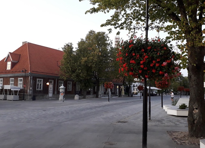Liinibussid Tallinna tänaval peatuses rephoto