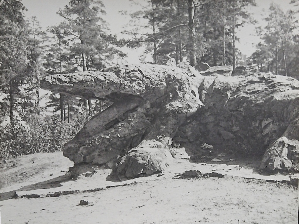 Glehn Crocodile