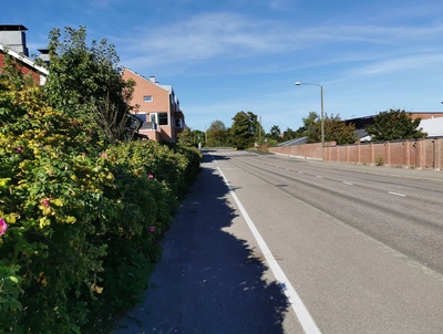 Itäistä Viertotietä (nykyisin Hämeentie) Vanhan kaupungin (nyk. Vanhakaupunki) eteläosien kohdilla. Oikealla takana nykyisen Koskipuiston alue. Helsingin Muinaismuistolautakunta  ja valokuvaaja Signe Brander "sunnuntairetkellä" katsastamassa kuvauskohteita Vanhassakaupungissa Itäisellä Viertotiellä (Hämeentie 166, 165). rephoto