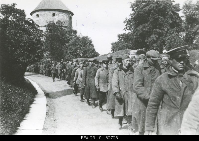 German occupation in Estonia. Red militias that fell in prison in Tallinn.