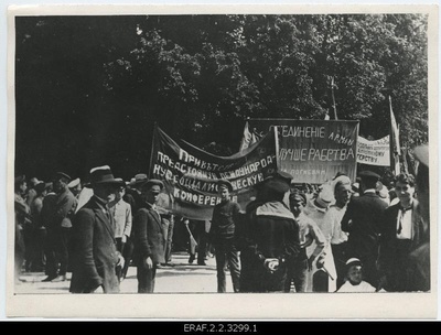 Demonstration in Kadriorg in Tallinn during the 18th June demonstration, Russian-speaking slogans.  duplicate photo