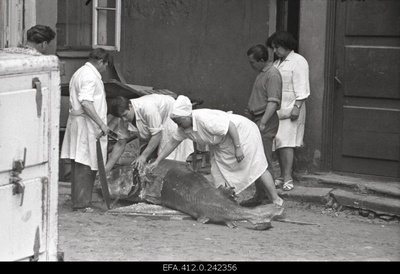 Beluuga harvesting in the restaurant Caucasus courtyard.  similar photo