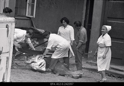 Beluuga harvesting in the restaurant Caucasus courtyard.  similar photo
