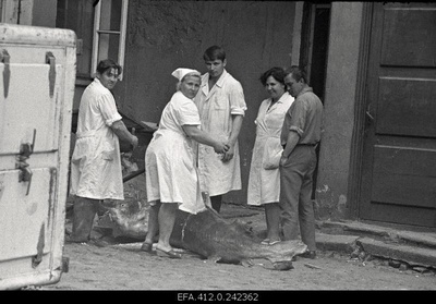 Beluuga harvesting in the restaurant Caucasus courtyard.  similar photo
