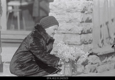 Flower seller.  similar photo