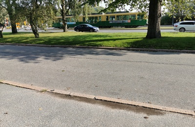 Eläintarhan ajot. Kilpailija Kaupungin puutarhan edustalla. rephoto