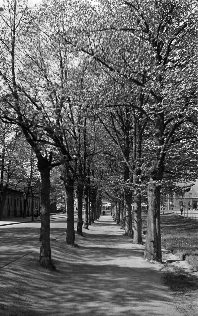 Helsinginkatu. Vasemmalla Helsinginkatu 58, taustalla Mannerheimintie.