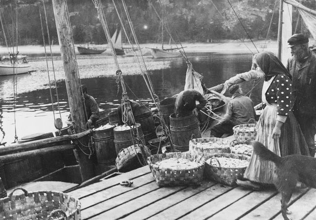 Fishing boat in the harbor - scale, black and white