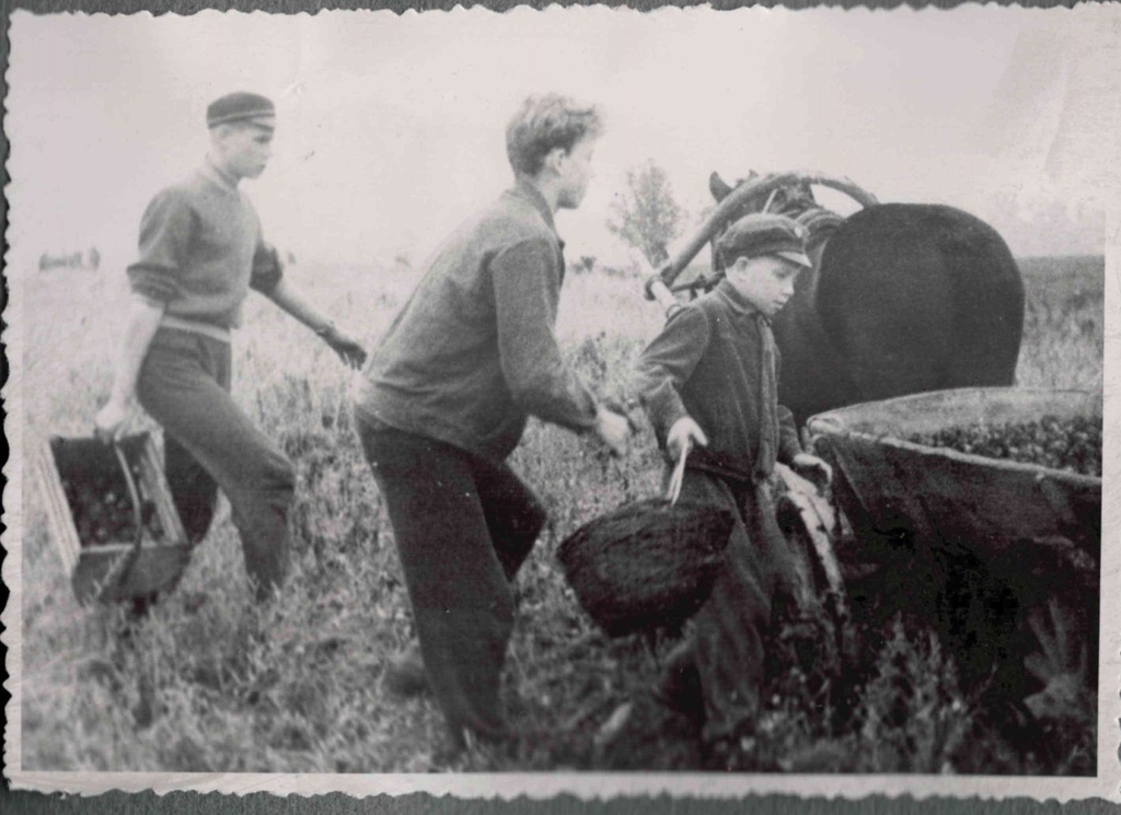Taebla School Students in Colhose