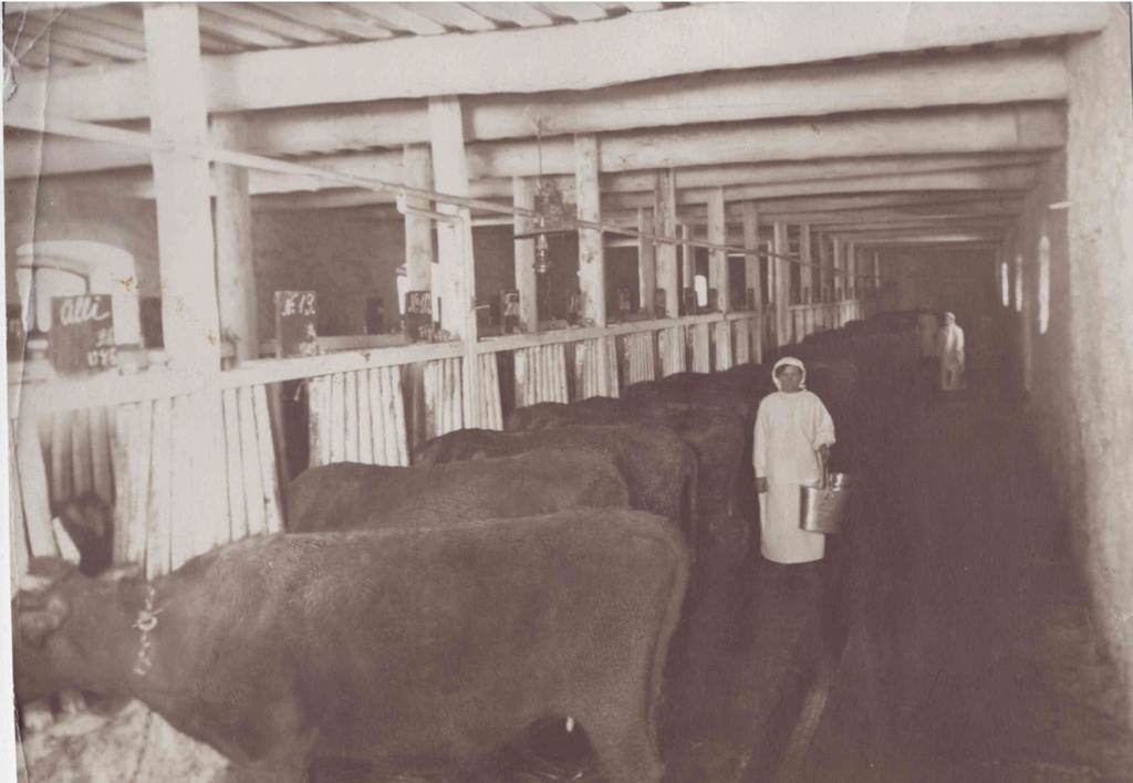 On the island farm