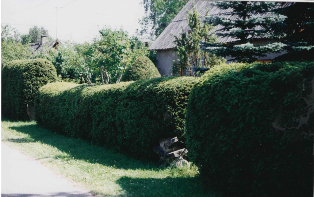 Family Allkivi's home in Taebla