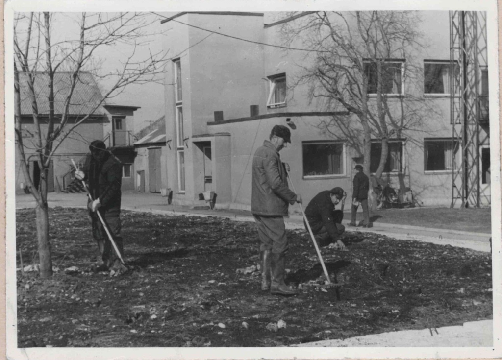 Good rehabilitation of the surroundings of the office building of Lihula
