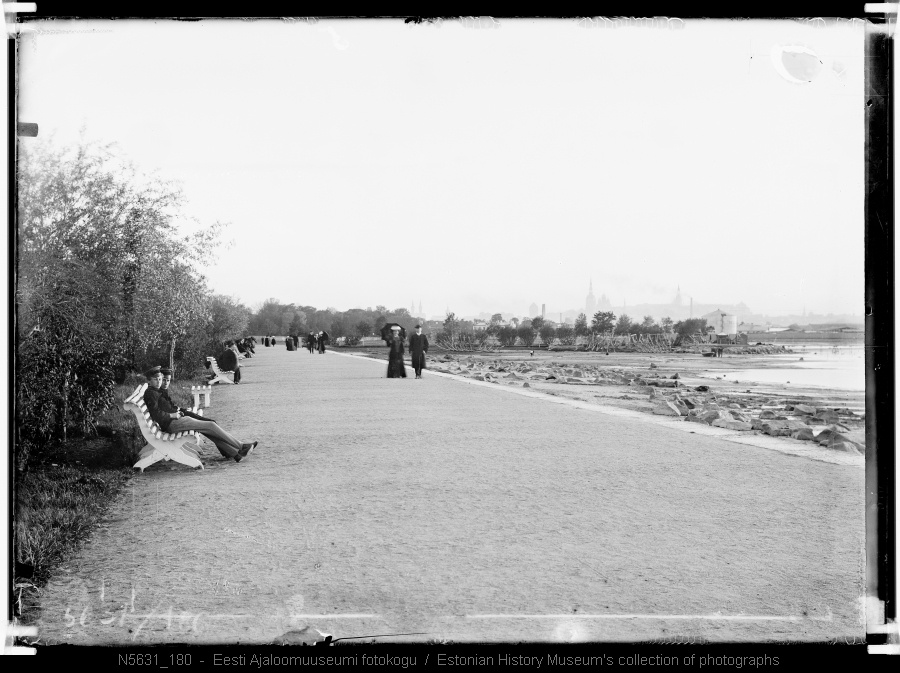 Vaade linnale Kadrioru rannast. 1900-1917 aastad. Umbes praeguse Lillepaviljoni juurest.