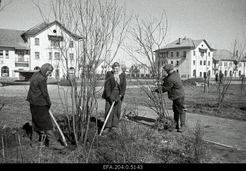 Planting the tomings of the winning puiestee.
