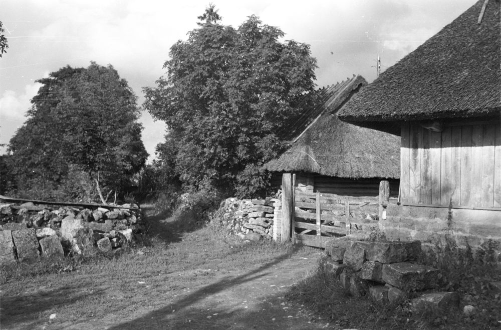 Farmhouse in Tõnija village.