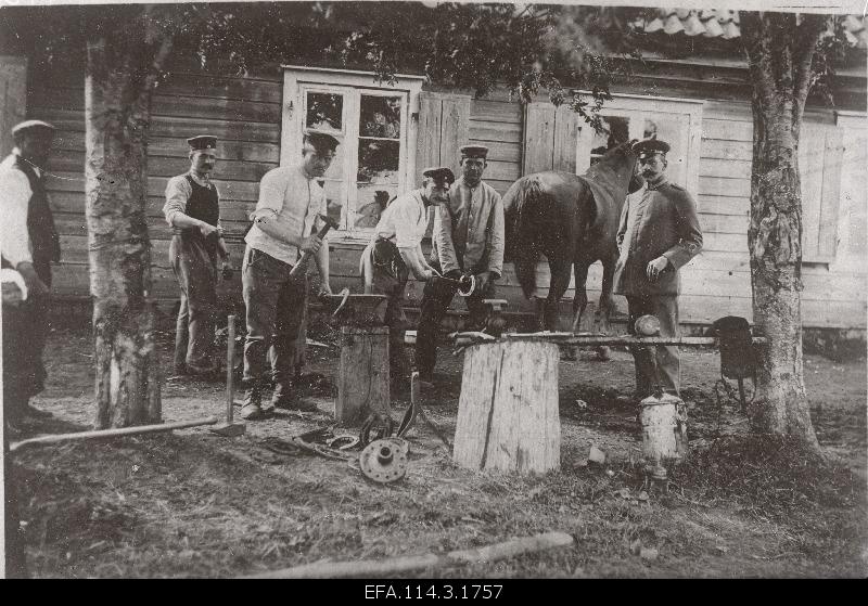 German soldiers climbing the horse cabbage.