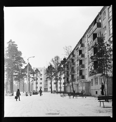Negative.  The residential district of the Pine Street in Haapsalu. November 1973.a.
Photo: T.Coffee.  duplicate photo