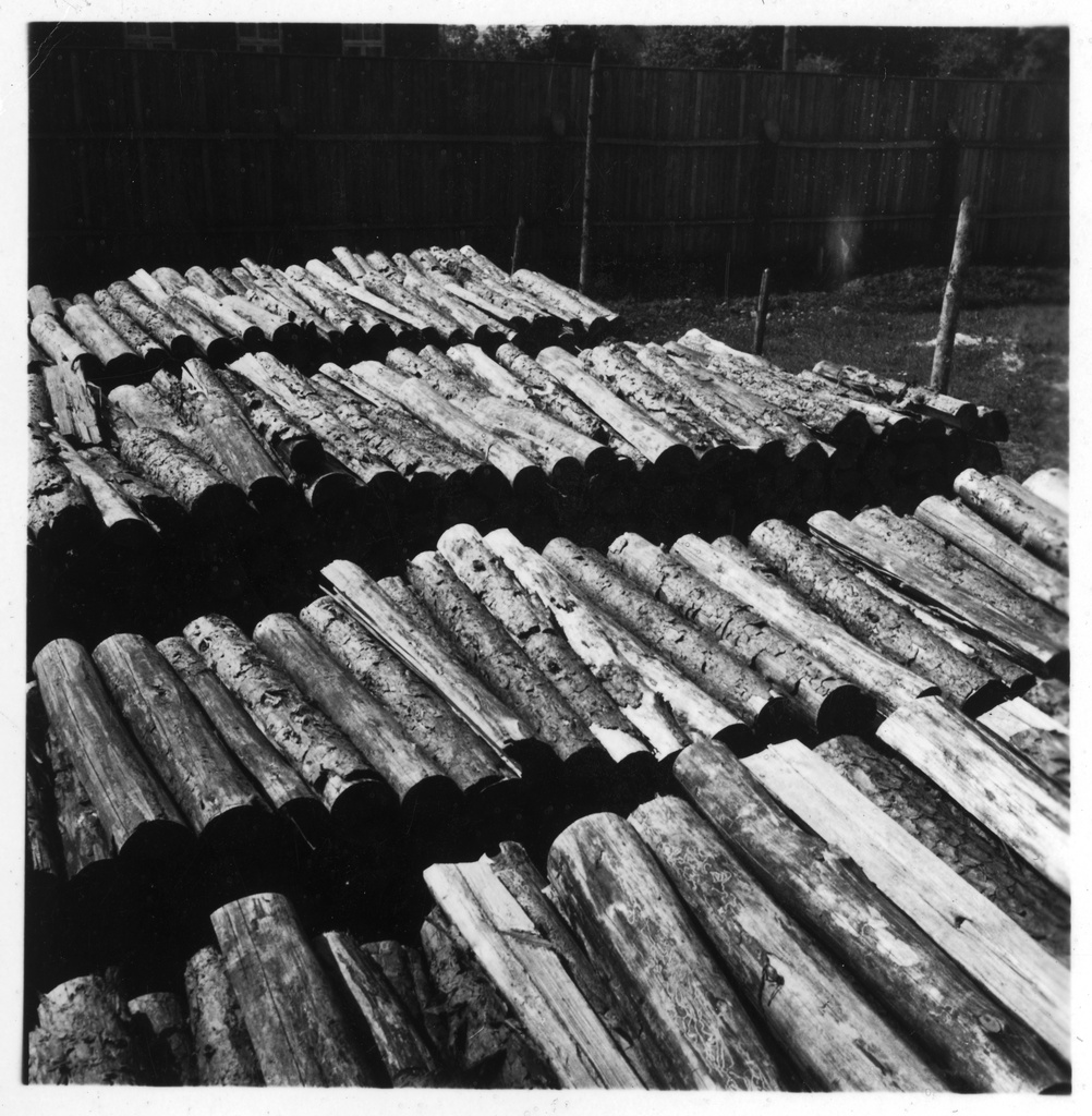 CH-NB - Estonia, Valk-Walk (Valga)- wood - Annemarie Schwarzenbach - SLA-Schwarzenbach-A-5-16-125 - Estonia, Valk/Walk (Valga): wood; Arched wood