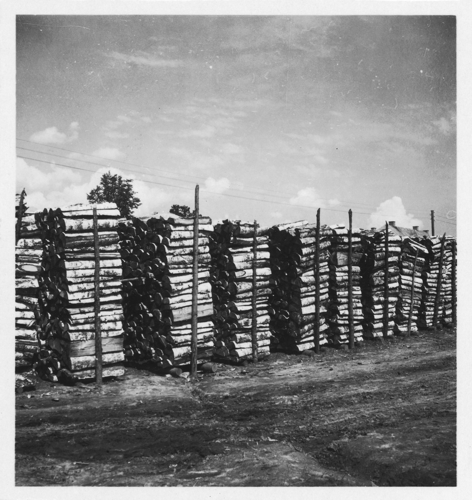CH-NB - Estonia, Valk-Walk (Valga)- wood - Annemarie Schwarzenbach - SLA-Schwarzenbach-A-5-16-128 - Estonia, Valk/Walk (Valga): wood; Arched wood