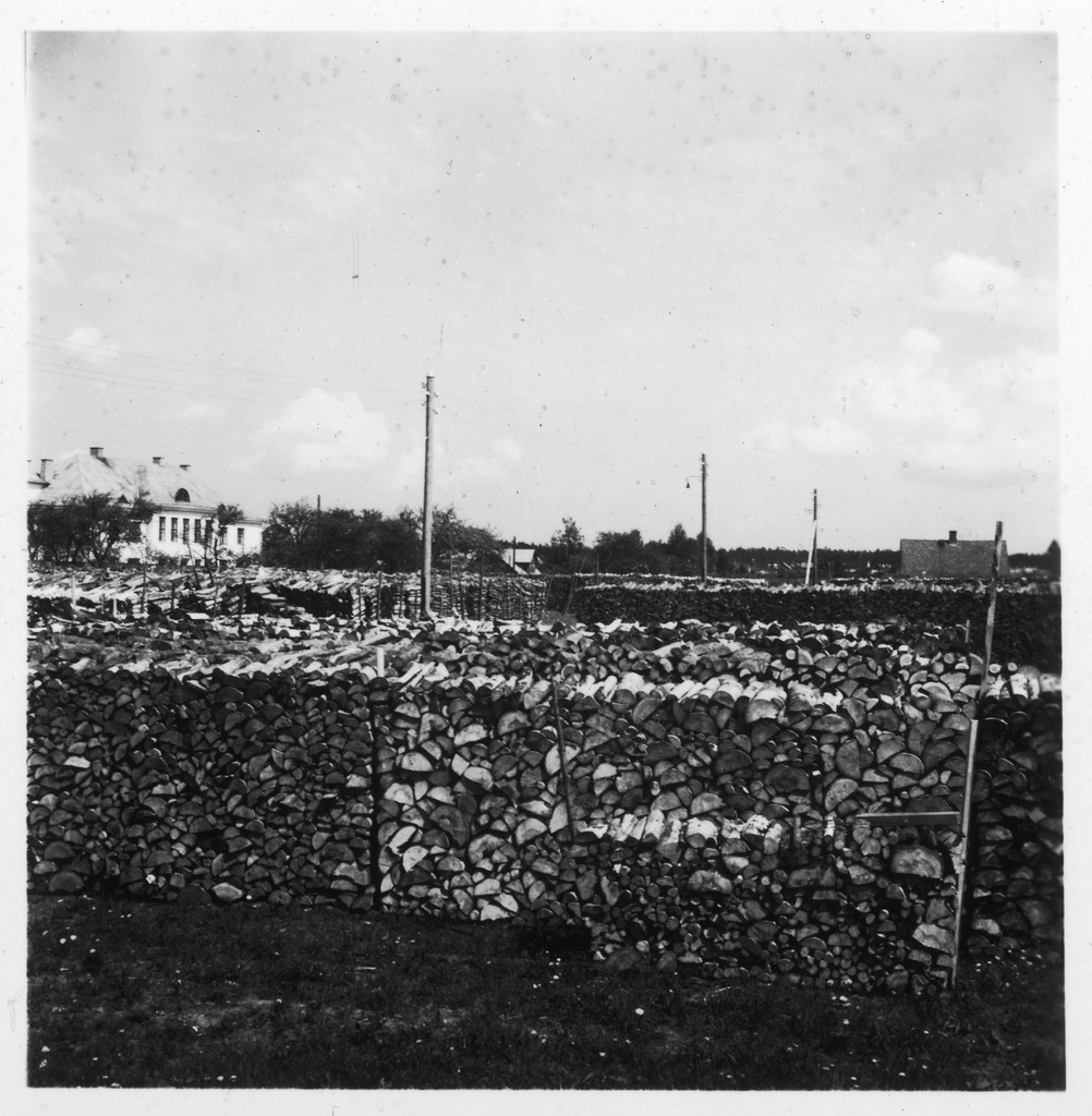 CH-NB - Estonia, Valk-Walk (Valga)- wood - Annemarie Schwarzenbach - SLA-Schwarzenbach-A-5-16-127 - Estonia, Valk/Walk (Valga): wood; Arched wood