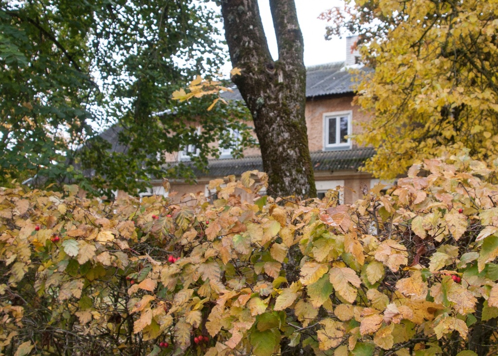 Photo Cleaner's Teach house rephoto