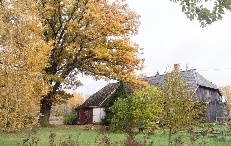 Residential school house in Viirats municipality. Built in 1867. rephoto