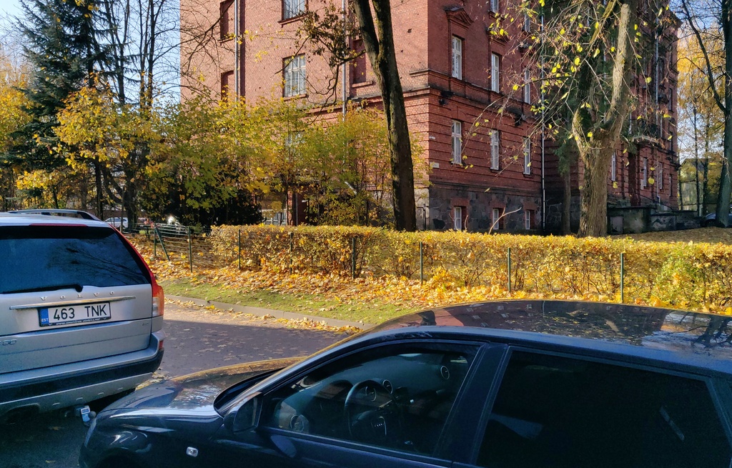 Tartu NMKÜ tegelased aeda parandamas rephoto