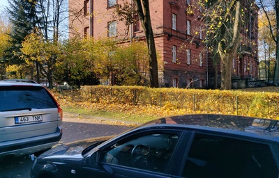 Tartu NMKÜ tegelased aeda parandamas rephoto