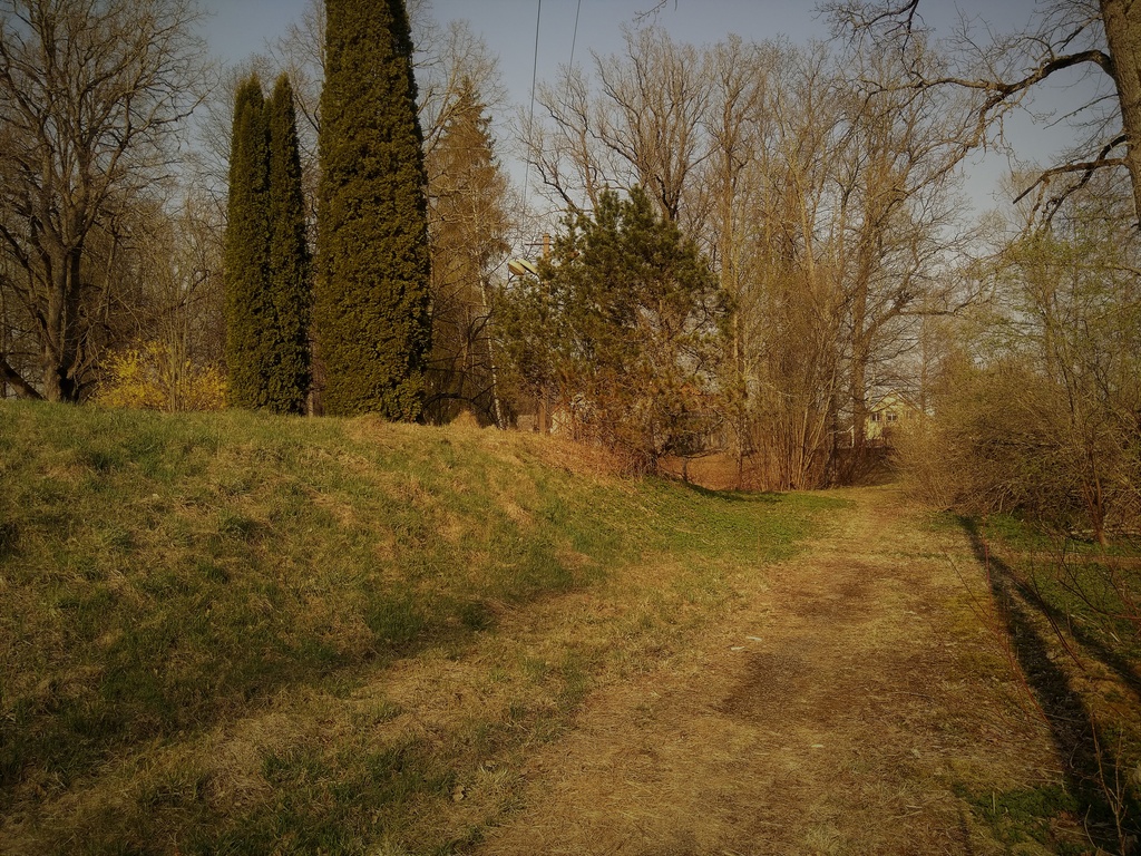 Antsla Vasallinn 27 - View from the west to the south-east corner of the capital area. Along the south side of the capital area goes the access route eastwards.