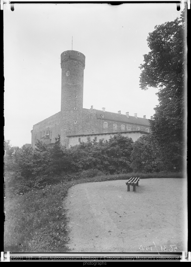 Pikk Hermann