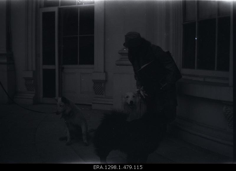 Eveline Maydell White House with dogs