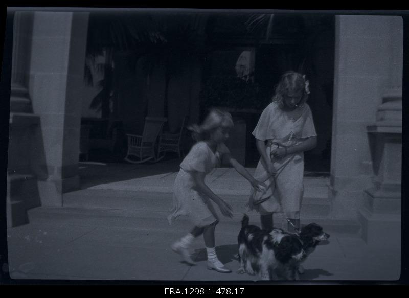 Two girls playing with dogs