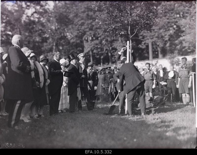 Young people planting oak in the name of the king of Sweden Gustav V.  duplicate photo