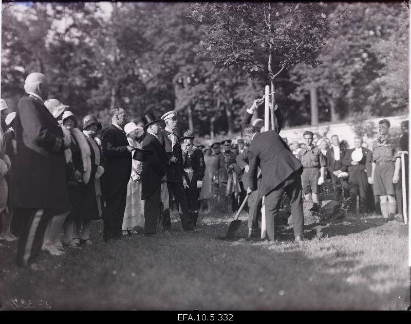 Young people planting oak in the name of the king of Sweden Gustav V.