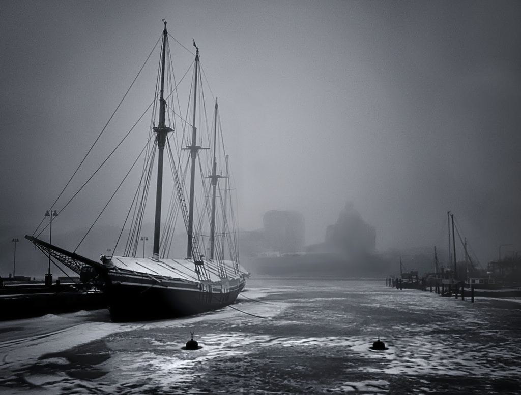 Pohjoissatama Halkolaituri rephoto