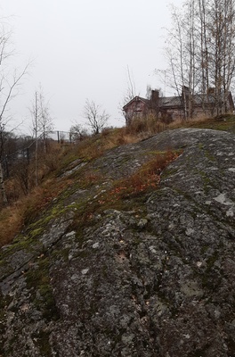 Linnunlauluntie. Kaksi poikaa (Aapo Rista ja Tuomas Heikkilä) tutkimassa keväistä luontoa Linnunlaulun kallioilla radan varressa. Näkymä radan ylittävän sillan kupeesta kaakkoon. Oikealla kallion laella Linnunlauluntie 12:n talo. rephoto